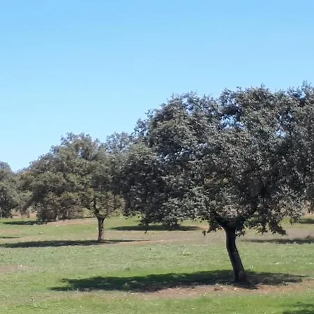Holiday home Maria Vilches